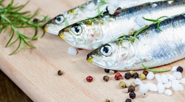 Studio shot of raw sardine with spices