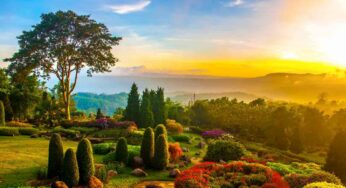 ¿Nuestra vida puede ser como un jardín?