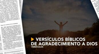 Versículos bíblicos de agradecimiento a Dios