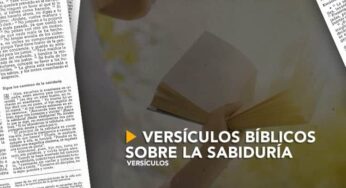 Versículos bíblicos sobre la sabiduría