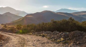El camino menos transitado de la felicidad