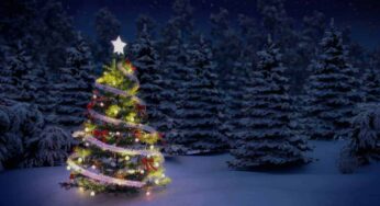 El origen del árbol de Navidad