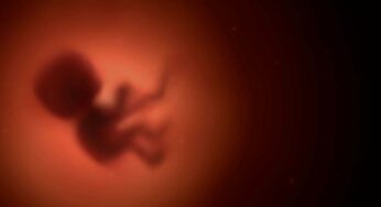 ¿Qué dice la Biblia acerca del aborto?