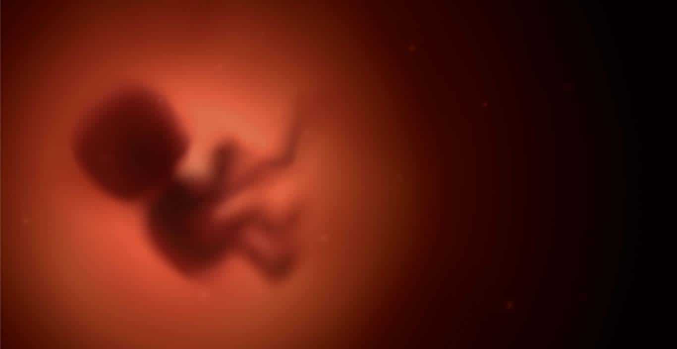 ¿Qué dice la Biblia acerca del aborto?