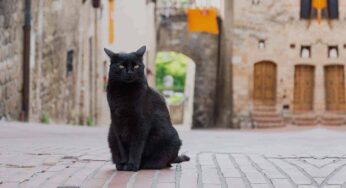 ¿Qué dice la Biblia sobre la superstición?