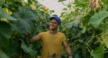Qué es un «climatariano» y cómo convertirte en uno