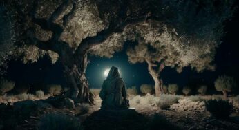 ¿Qué hacía Jesús cuando tenía tiempo libre?