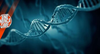 Se puede guardar archivos en el ADN humano, ¿es la biología el futuro del almacenamiento?