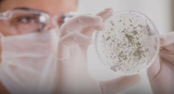 Todo lo que necesitas saber sobre el coronavirus