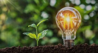 ¡Las plantas pueden producir electricidad!