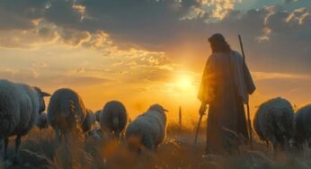 Agradando al buen pastor
