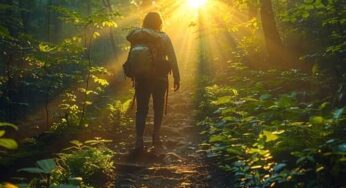La luz que te guía
